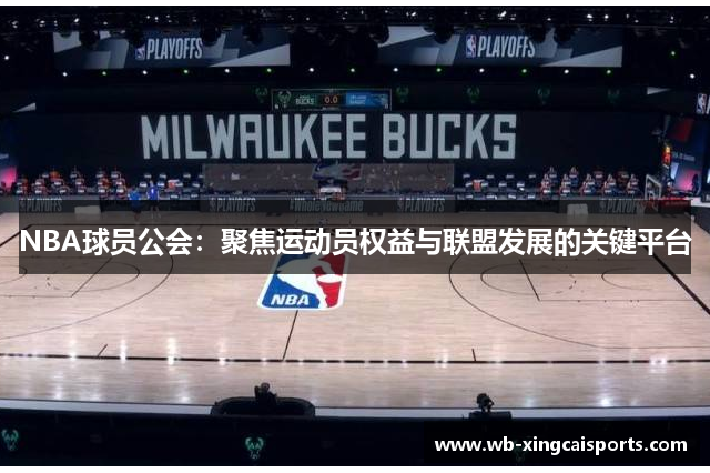NBA球员公会：聚焦运动员权益与联盟发展的关键平台