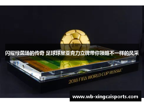 闪耀绿茵场的传奇 足球球星亚克力立牌带你领略不一样的风采